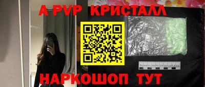 стафф Будённовск