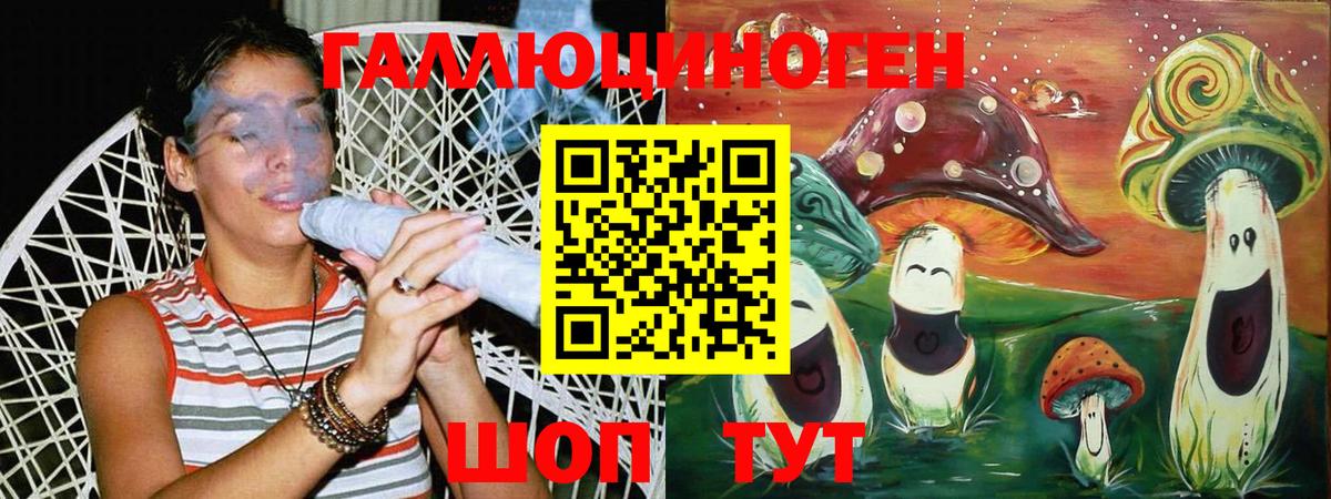 Псилоцибиновые грибы Psilocybine cubensis Усолье-Сибирское